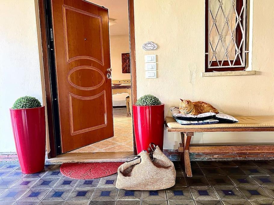 Holiday home Maria Grazia Lucca