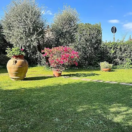 Villa Maria Grazia Lucca Exterior photo